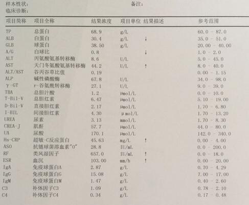 患者化验数据显示类风湿因子等指标偏高.jpg 患者化验数据显示类风湿因子等指标偏高
