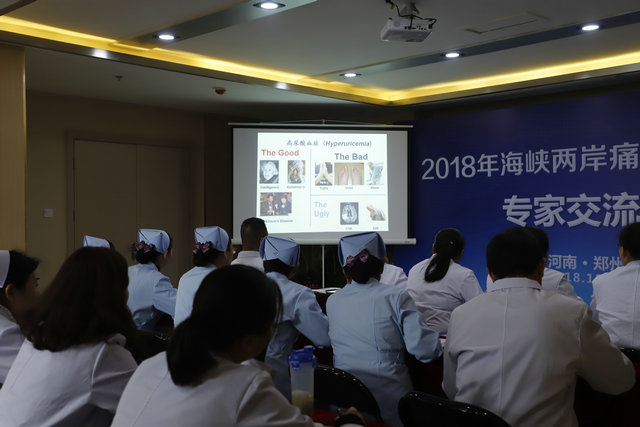 2018年海峡两岸痛风/风湿病专家交流会成果丰硕 2018年海峡两岸痛风/风湿病专家交流会成果丰硕
