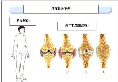 ʪʲôƷ?ϷʪҽԺ